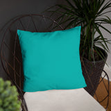Know Your Worth Basic Pillow