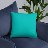 Know Your Worth Basic Pillow