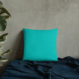 Know Your Worth Basic Pillow