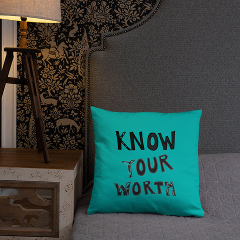 Know Your Worth Basic Pillow