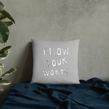 Know Your Worth Basic Pillow